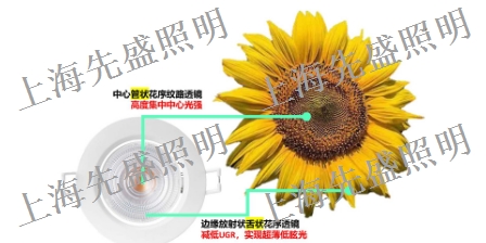 上?？蛷d 燈具壽命 上海先盛照明電器供應(yīng)