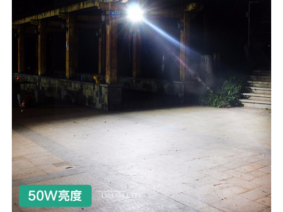 數(shù)碼管亮化工程廠(chǎng)家供應(yīng) 誠(chéng)信為本 中山茂碩科技供應(yīng)
