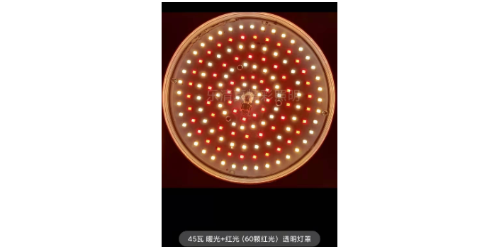 江蘇海鮮提鮮燈價(jià)格「樂清市真精彩照明電器供應(yīng)」