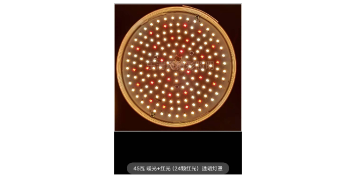 廣東市場(chǎng)提鮮燈現(xiàn)貨「樂清市真精彩照明電器供應(yīng)」