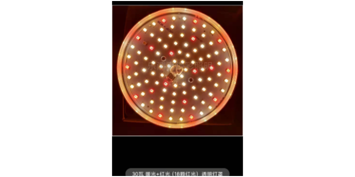 江蘇多功能生鮮燈哪家好「樂清市真精彩照明電器供應(yīng)」